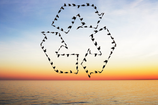 注册公司 注册公司