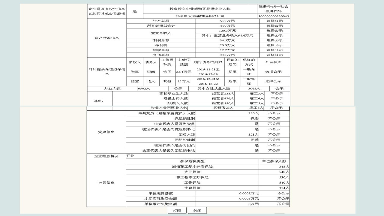 企业年报图片22